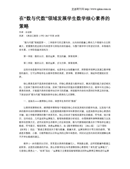 在“数与代数”领域发展学生数学核心素养的策略