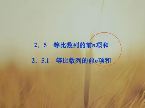 最新-2018高中数学 第2章251等比数列的前n项和课件 新人教A版必修5 精品 