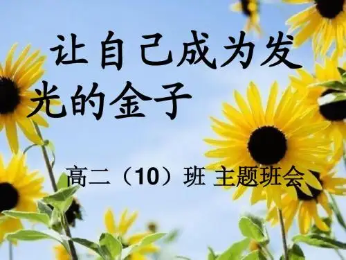 “让自己成为金子”主题班会