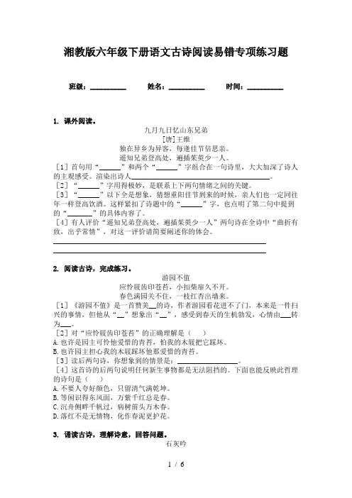湘教版六年级下册语文古诗阅读易错专项练习题