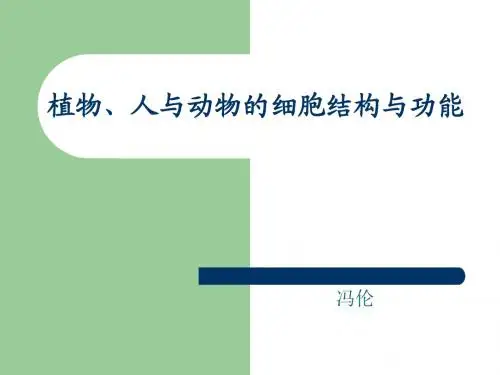 植物、人和动物的细胞结构与功能