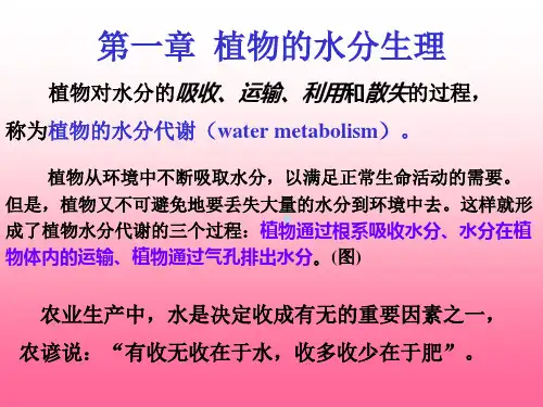 植物生理学植物的水分生理