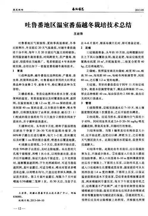 吐鲁番地区温室番茄越冬栽培技术总结