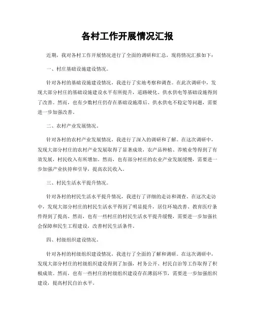 各村工作开展情况汇报