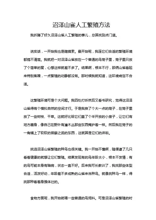 沼泽山雀人工繁殖方法