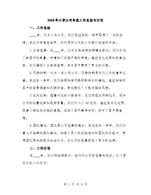 2024年小贷公司年度工作总结与计划(2篇)