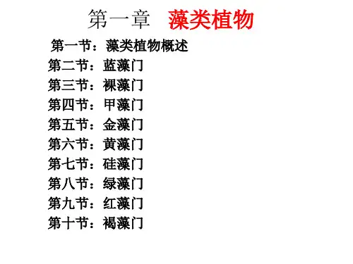 藻类植物