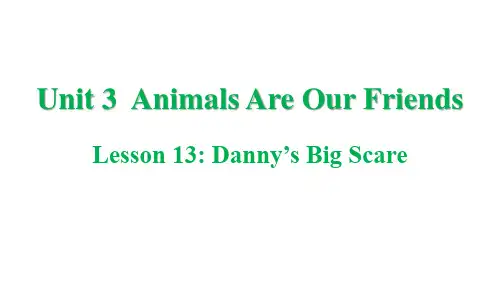 八年级下册AnimalsAreOurFriendsLesson13Danny'sBigScare