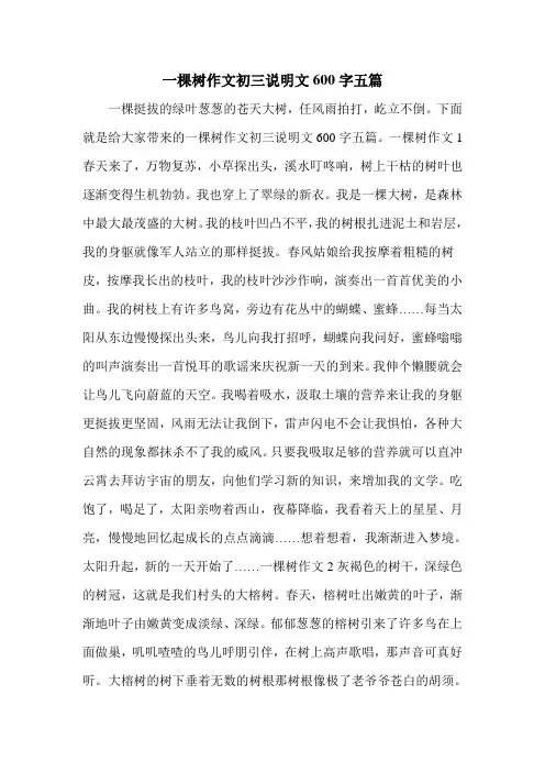 一棵树作文初三说明文600字五篇