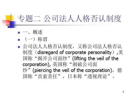 专题二, 公司法人人格否认制度