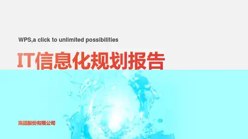 IT信息化规划报告