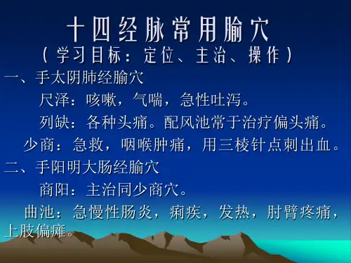 十四经脉常用腧穴