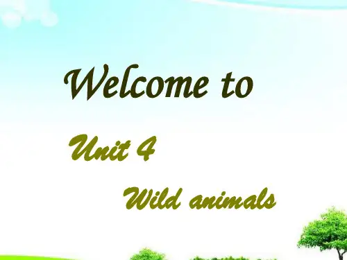 中小学优质课件wild animals课件.ppt