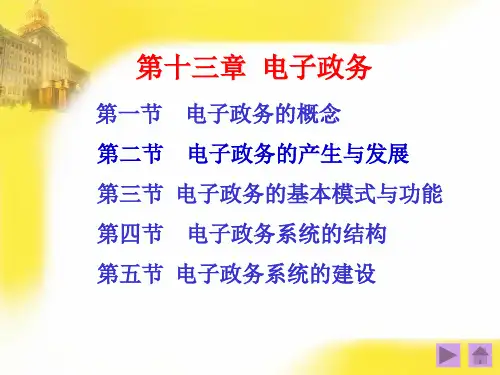 13电子政务课件