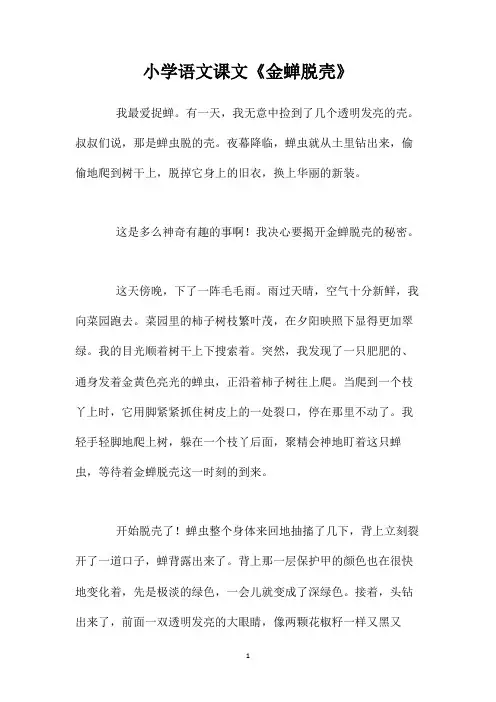 小学语文课文《金蝉脱壳》