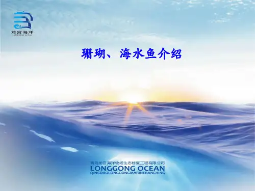 龙宫海洋——珊瑚和观赏鱼介绍