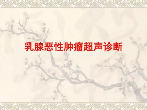 乳腺超声诊断PPT课件