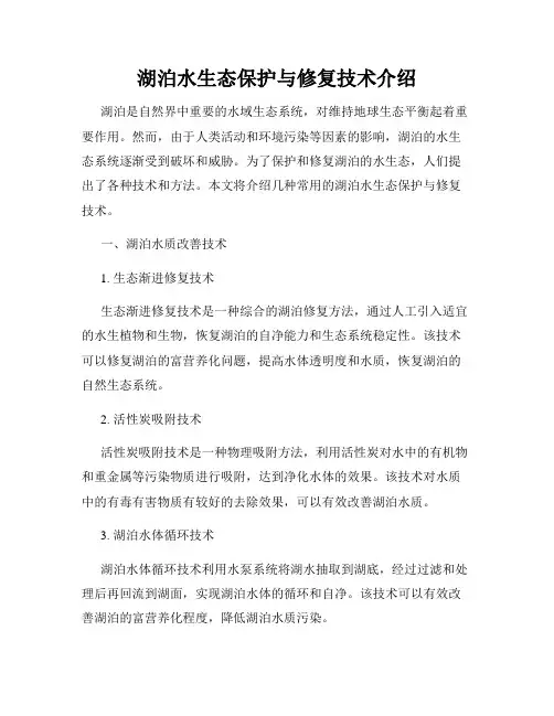 湖泊水生态保护与修复技术介绍