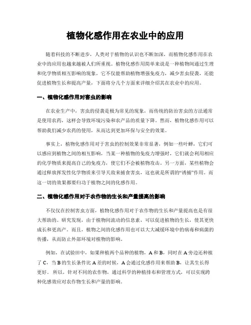 植物化感作用在农业中的应用