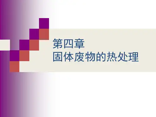 固体废物处理与处置热处理