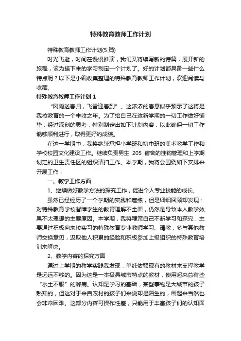 特殊教育教师工作计划