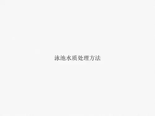 泳池水质处理方法课件PPT