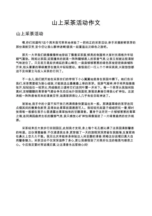 山上采茶活动作文