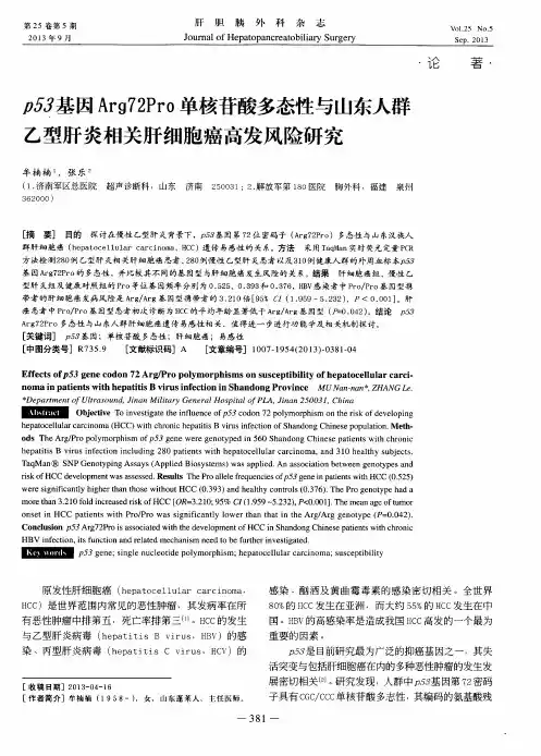 p53基因Arg72Pro单核苷酸多态性与山东人群乙型肝炎相关肝细胞癌高发风险研究