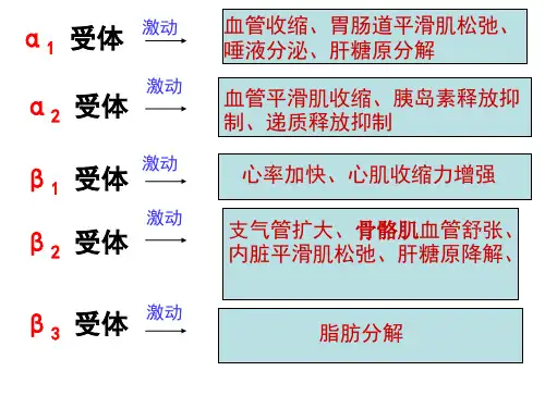 α激动药、β  激动药(完整)