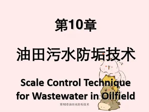 第10章油田水防垢技术