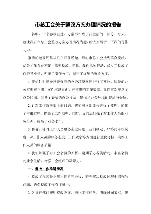 市总工会关于整改方案办理情况的报告