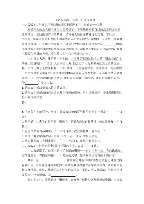10.《老人与海(节选)》同步练习 (含答案)统编版高中语文选择性必修上册(2024年)