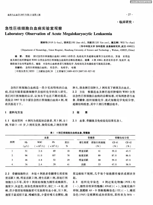 急性巨核细胞白血病实验室观察