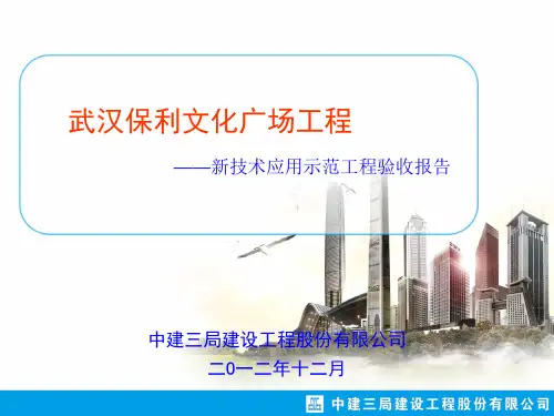 新科技应用示范工程验收汇报版