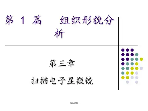 第三章-扫描电子显微镜ppt课件