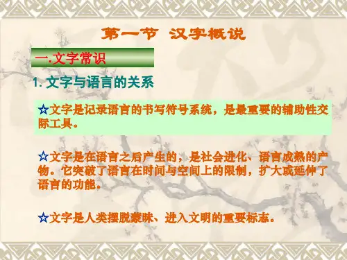 《汉字的魅力》(讲座ppt)