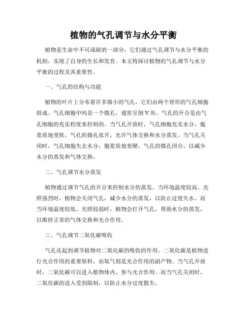 植物的气孔调节与水分平衡