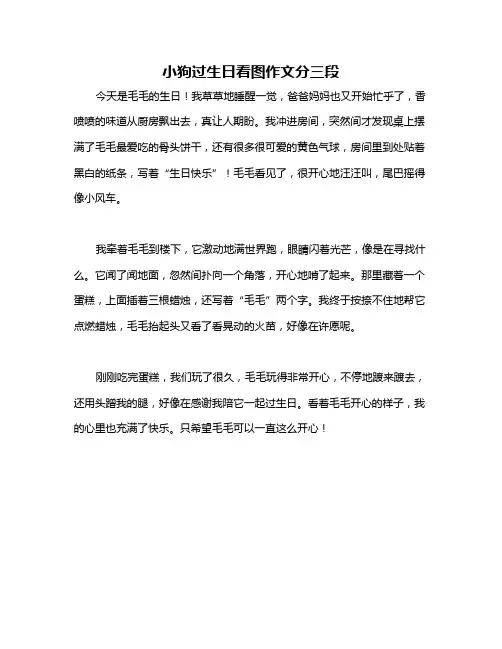 小狗过生日看图作文分三段