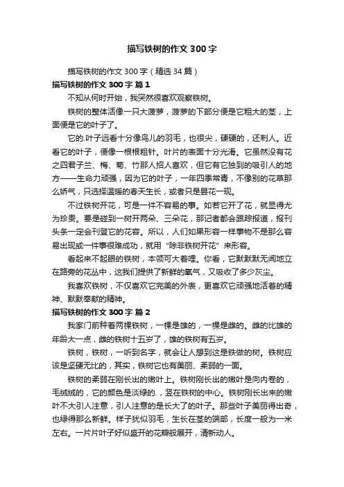 描写铁树的作文300字（精选34篇）