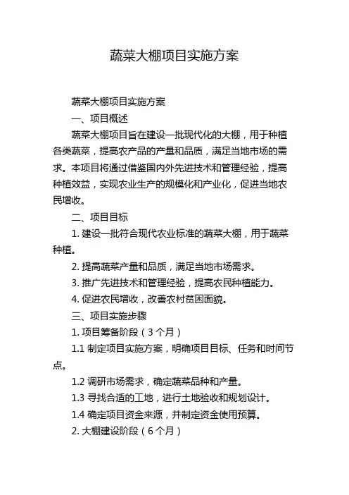 蔬菜大棚项目实施方案