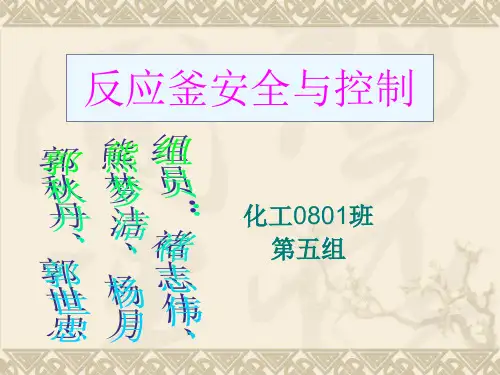 反应釜的安全与操作.ppt