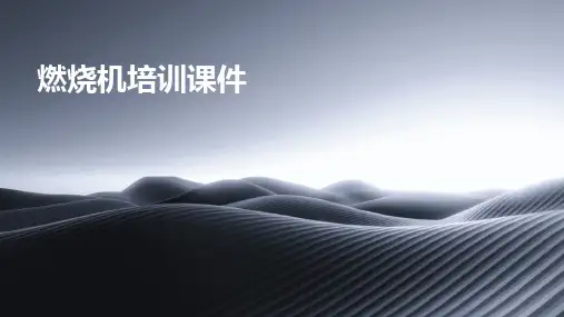2024版燃烧机培训课件