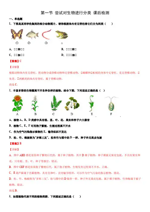 6.1.1 尝试对生物进行分类(练习)(解析版)