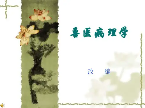 兽医病理学精品PPT课件