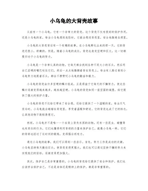 小乌龟的大背壳故事