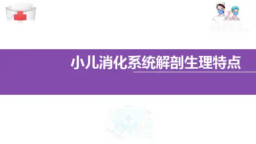 小儿消化系统解剖生理特点(儿童护理课件)