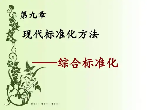 第九章 综合标准化