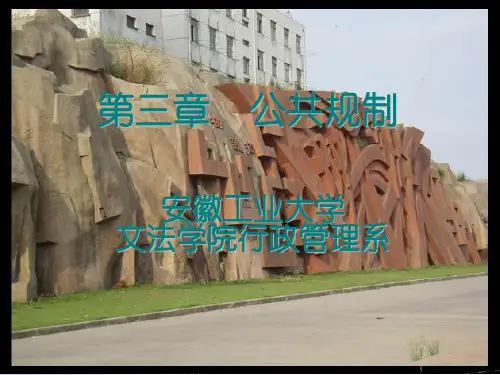3公共规制