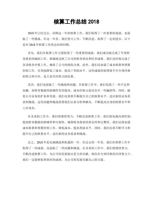 核算工作总结2018