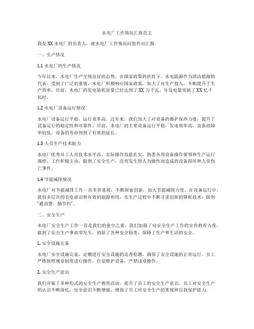 水电厂工作情况汇报范文